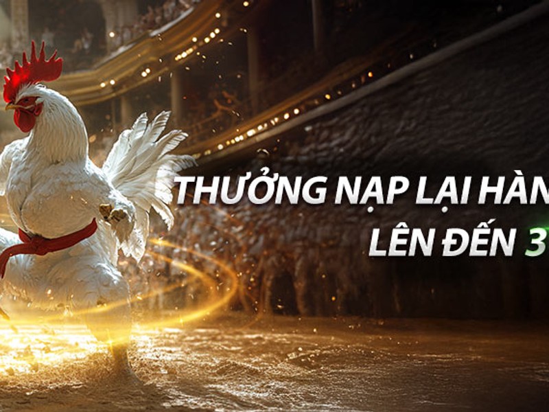 Chương trình hoàn trả VIP không giới hạn của new88011
