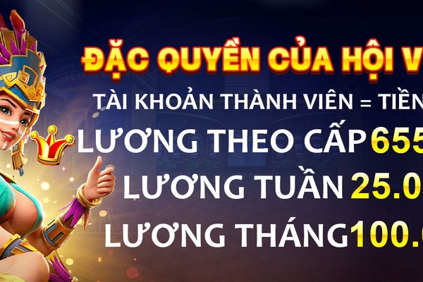 Biểu đồ cấp độ VIP new88011 và các lợi ích